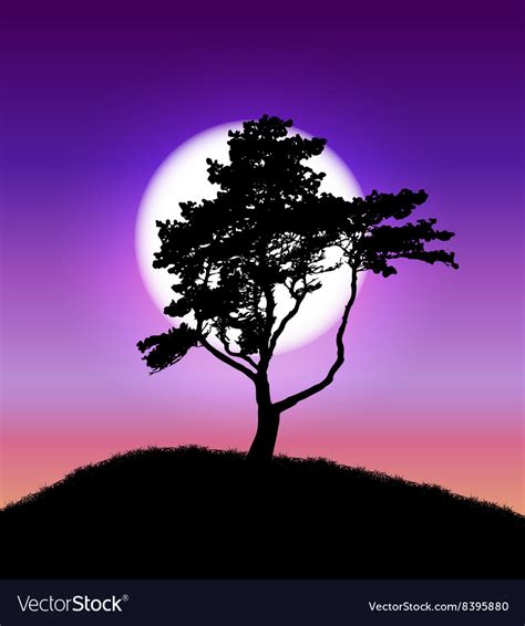 Silhouette of tree on sunset background Royalty Free Vector