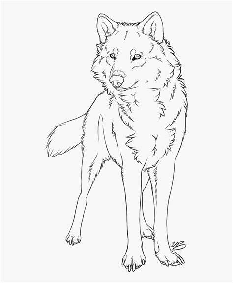 Gray Wolf Line Art Drawing Painting Sketch - Wolf Drawing Line Art, HD Png Download - kindpng