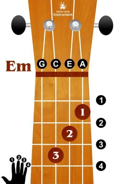 Basic Ukulele Chords For Beginners - Know Your Instrument