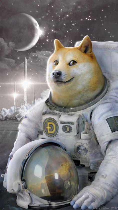 Doge to the Moon : r/dogecoin