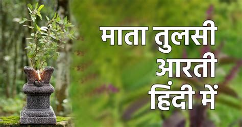 तुलसी माता की आरती (Tulsi Aarti in Hindi) – PujaPath