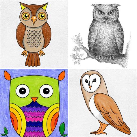 25 Easy Owl Drawing Ideas - How to Draw an Owl - Blitsy