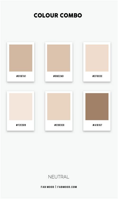 Beige Color Combo – Colour Palette 141 | Vintage colour palette, Pantone colour palettes, Sage ...