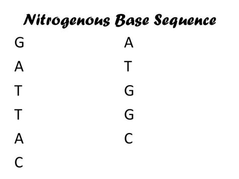 Nitrogenous bases