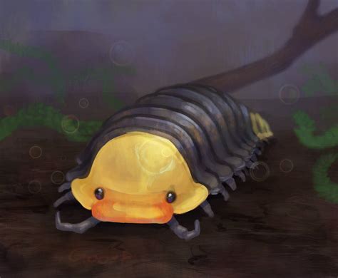 Rubber Ducky Isopod - Cubaris Sp by Goo-P on DeviantArt