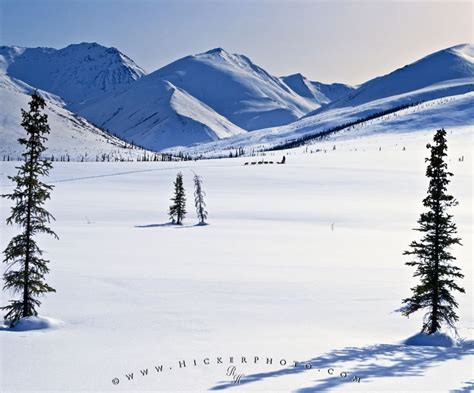 Arctic Alaska Winter Landscape | Photo, Information