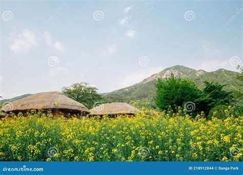 Naganeupseong Nagan Folk Village in Suncheon, Korea Stock Photo - Image ...