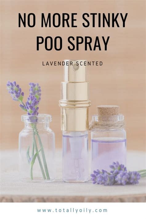 DIY Lavender Scented "No More Stinky Poo-Poo" Spray