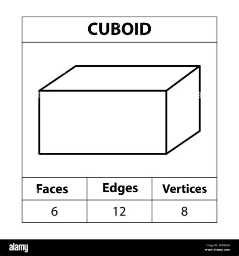 Cuboid faces, edges, vertices Geometric figures outline set isolated on a white backdrop. 3d ...