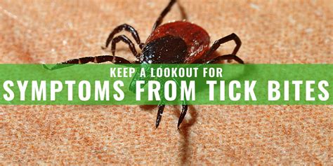 Keep a Lookout for Symptoms from Tick Bite This Summer