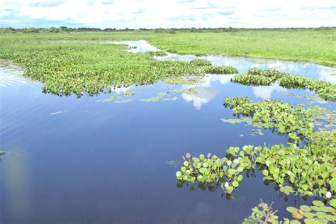 LAKES, FRESHWATER WETLANDS & GLACIERS | Natural World Heritage Sites