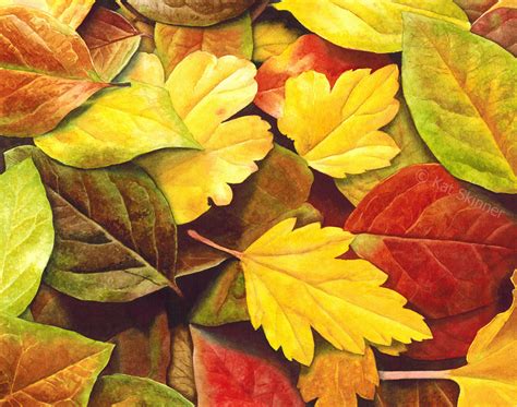 How I Painted The Autumn Leaves Watercolor Painting – Kat Skinner