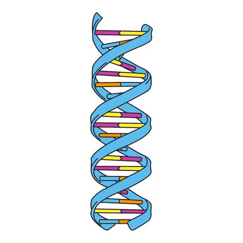 Tattoo My Science: Double-Helix - Gurdon Institute