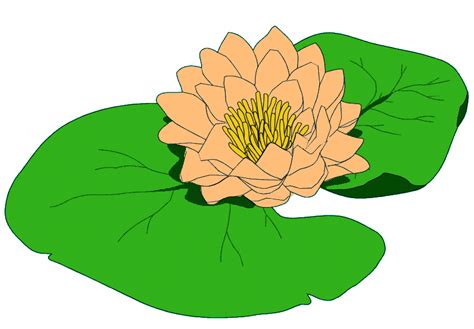 Lily Pad Clipart - ClipArt Best