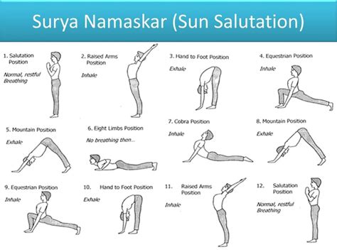 PPT - Surya Namaskar (Sun Salutation) - PPT PowerPoint Presentation, free download - ID:8005849