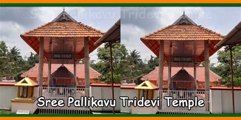 Sree Pallikavu Tridevi Temple Timings, Dress Code Goddess Lakshmi, Gods And Goddesses, Dress ...