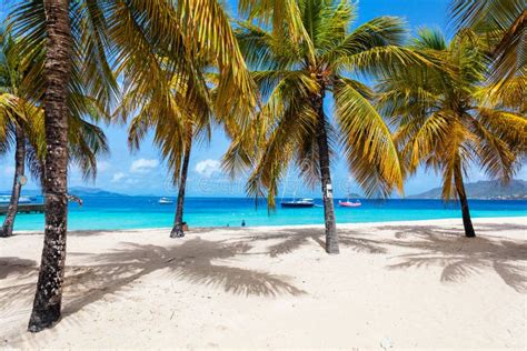 Idyllic beach at Caribbean stock image. Image of island - 123071233