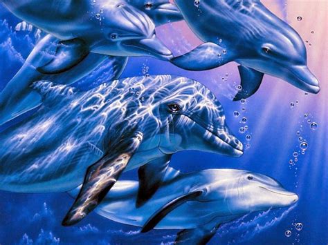 3D Dolphin Wallpapers - Top Free 3D Dolphin Backgrounds - WallpaperAccess