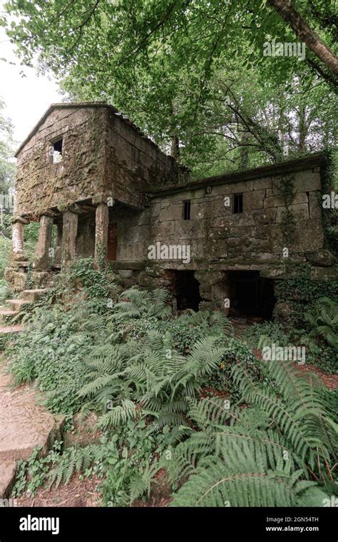 Abandoned house in the forest Stock Photo - Alamy