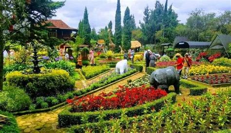 KEBUN BEGONIA LEMBANG Tiket & 5 Wahana - Yawisata.com