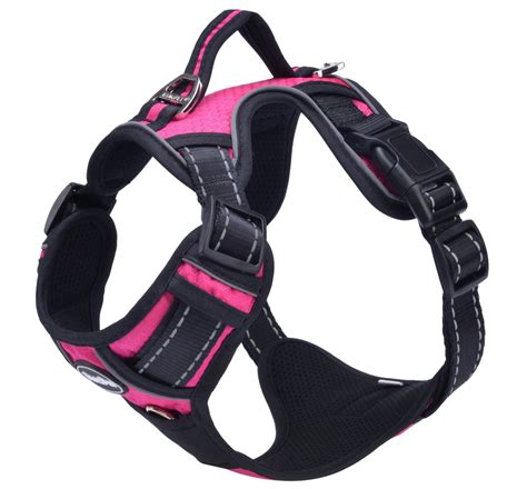 PUPTECK Best Front Range No-Pull Dog Harness with Vertical Handle