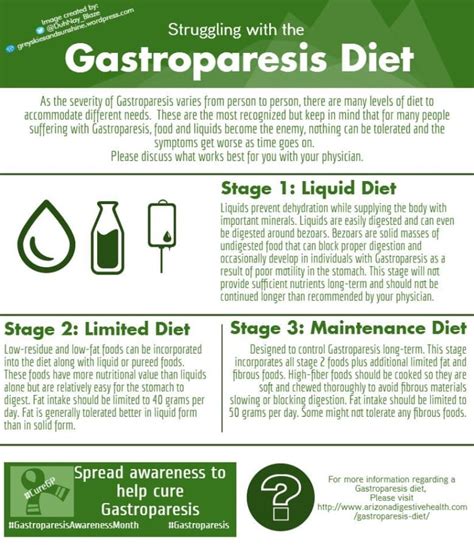 Gastroparesis / Bloating Diet - P.S.TE MD