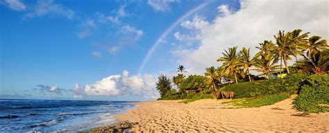 Lanikai Beach Is One of Oahu's Most Stunning Secrets! | Hawaii Beach Homes