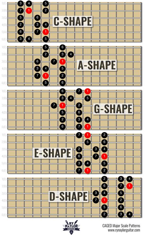 The major scale on guitar – Artofit