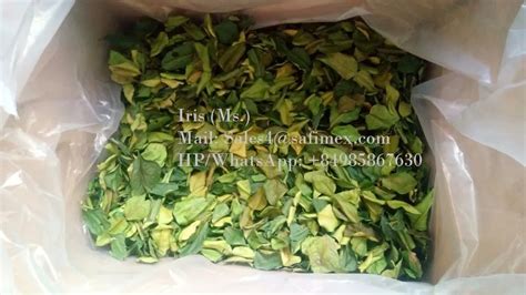 Dried Lemon Leaves/ Slice Dried Lemon Leaves/ Dried Lime Leaves - Buy ...