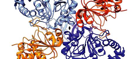 Scientists break down tuberculosis structure