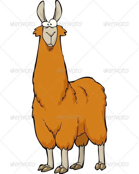 Lama Cartoon Animal