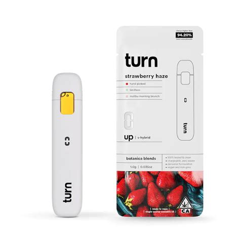 Turn - S-Hybrid Strawberry Haze Disposable Vape Pen 1G - The Kind Center