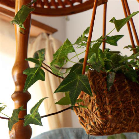 Top 11 Indoor Plants for Ultimate Air Purification in 2022