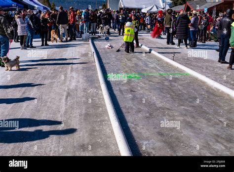 Winter celebration in Stanley, Idaho Stock Photo - Alamy