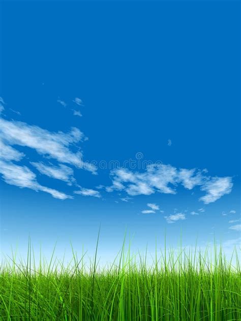 High Resolution Grass Over Sky Stock Image - Image of heavenly, landscape: 8940395