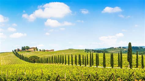 Tuscany Wine - The Historic Italian Wine Region