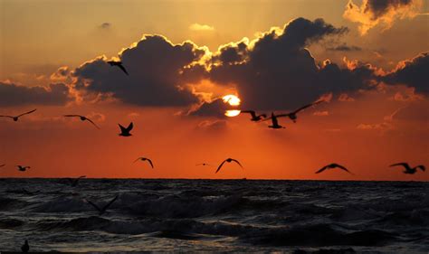 Beautiful sunset in Gaza – Middle East Monitor