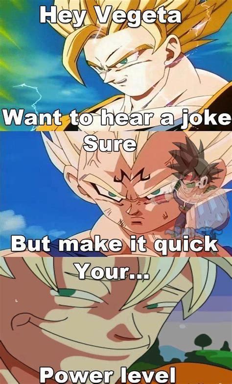 25 Hilarious Goku Vs Vegeta Memes That Will Leave You Laughing - pokemonwe.com