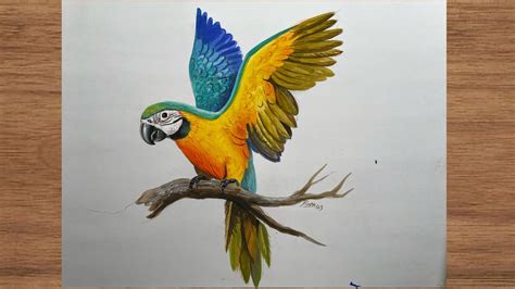 Update 76+ macaw parrot sketch super hot - seven.edu.vn