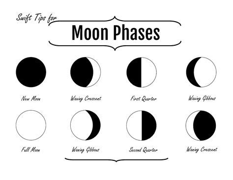 Moon Phases Chart Download Printable PDF | Templateroller