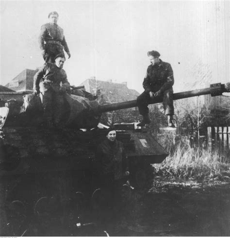 Achilles Tank Destroyer from the 1st Polish Armoured Division and its ...