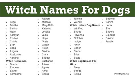 300+ Popular Witch Dog Names (Male, Female, Unisex) - EngDic