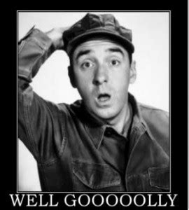 Gomer Pyle Famous Quotes. QuotesGram