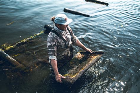 Oyster Farming: Everything You Need to Know