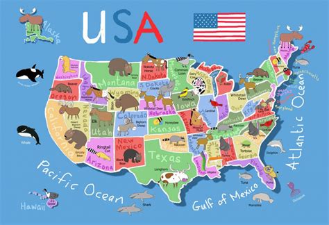 Printable Preschool Map Of The United States - Printable US Maps