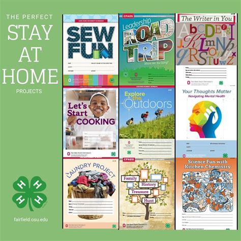 Perfect Stay at Home 4-H Projects – DOWNLOAD 4-H Books for FREE! | Fairfield County 4-H