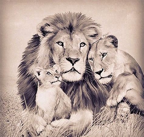 Family Portrait Precious | Lion pictures, Lion tattoo sleeves, Lion ...