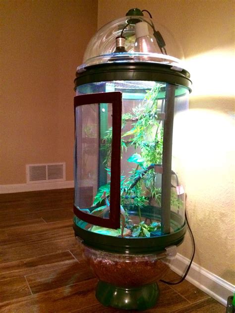 Chameleon cage Bio bubble | Chameleon cage, Chameleon terrarium, Reptiles pet