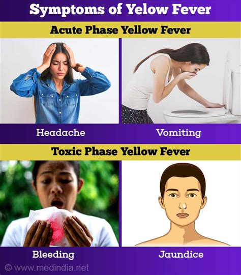 Yellow Fever Vaccine Side Effects