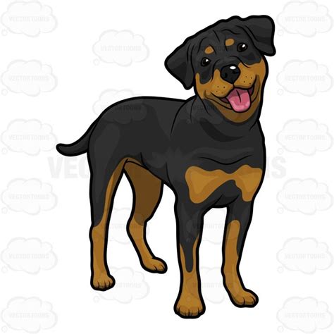 55+ Angry Rottweiler Dog Drawing - l2sanpiero